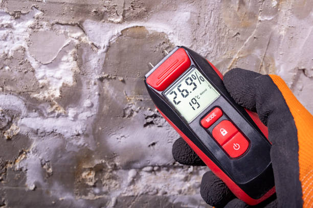 Mold Removal Process in Mapleton, ND